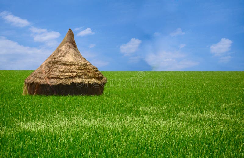 Green grass and a blue sky seperated by a small hut. Green grass and a blue sky seperated by a small hut.