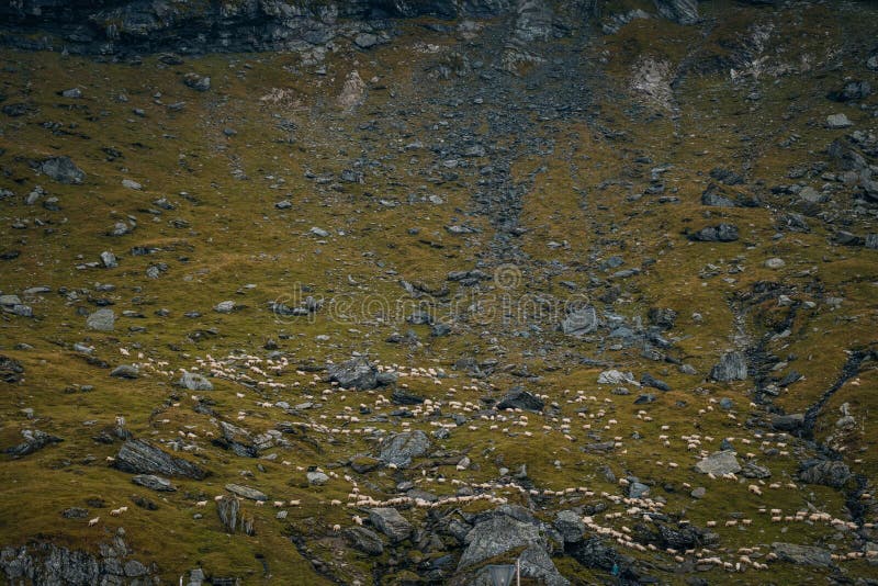 Campo paisajístico de montaña durante el día foto de archivo libre de regalías