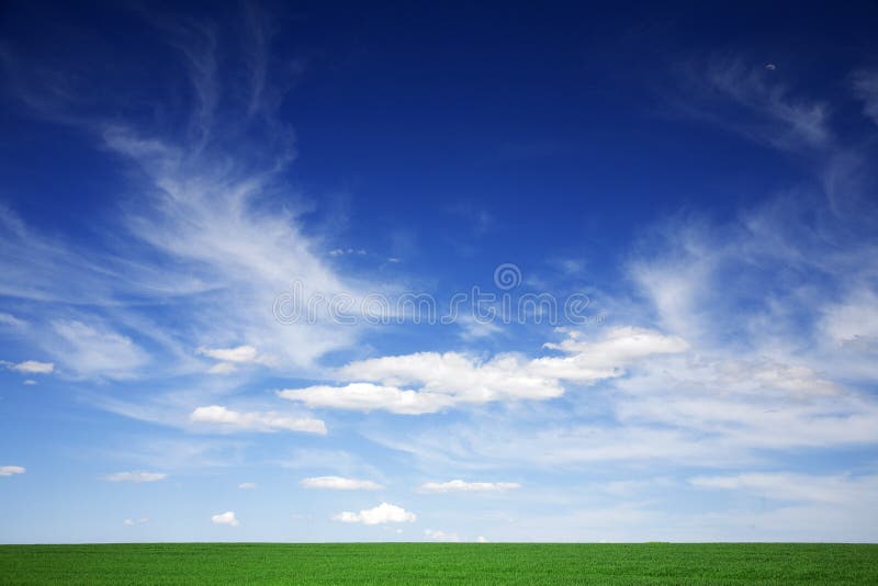 Campo verde, cieli blu, nubi bianche in primavera