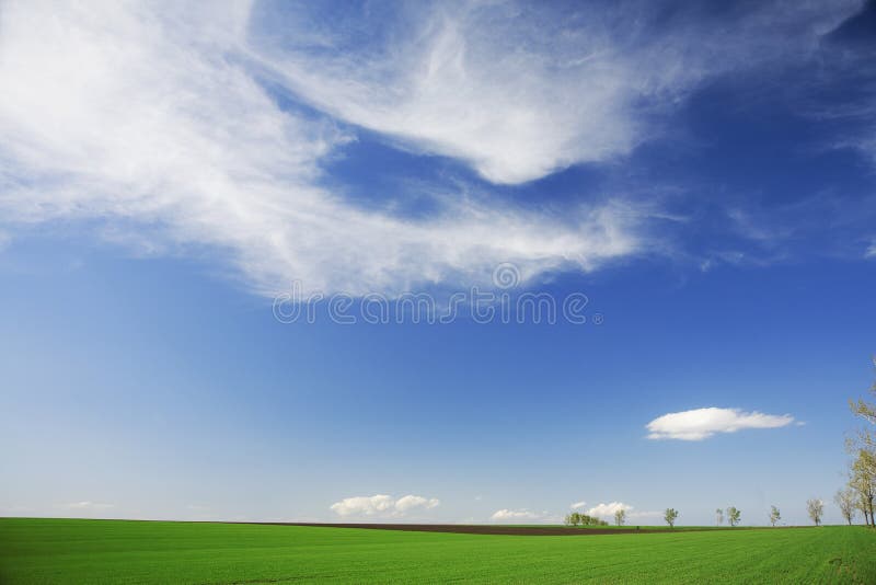 Campo verde, cieli blu, nubi bianche in primavera