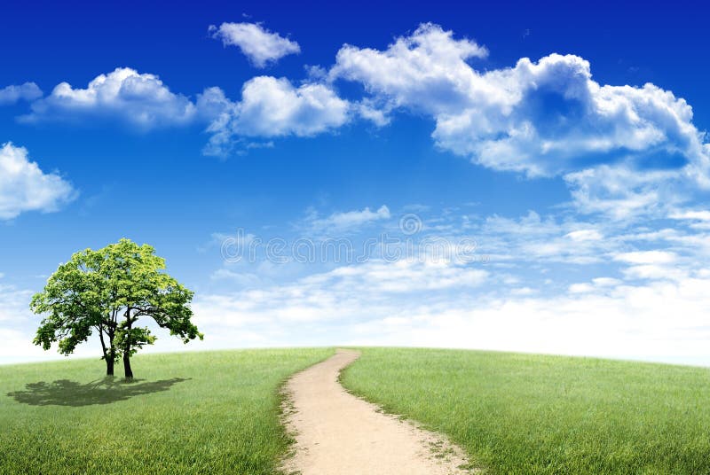 Campo verde ed albero solo fotografia stock libera da diritti Campo verde ed albero solo fotografia stock libera da diritti