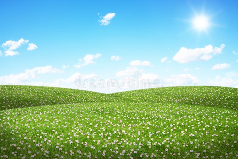 Campo verde y cielo azul libre illustration Campo verde y cielo azul libre illustration