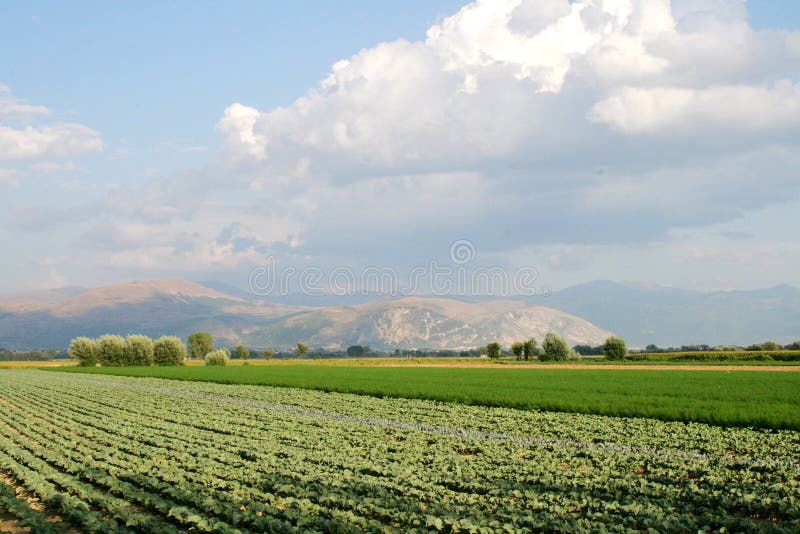 Campos cultivados foto de archivo. Imagen de cultivados - 10880770