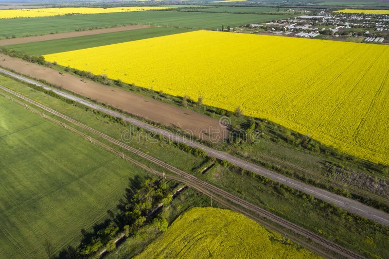 Campos de colza amarelos e verdes, vista aérea ? carros vão na estrada À distância está a aldeia fotos de stock Campos de colza amarelos e verdes, vista aérea ? carros vão na estrada À distância está a aldeia fotos de stock