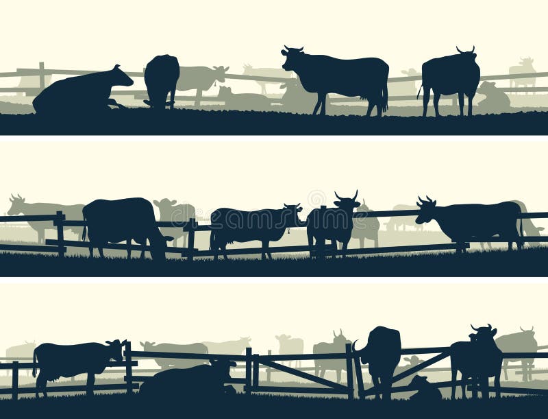 Horizontal vector banner silhouettes of grazing farm animals with fence (cows and bulls). Horizontal vector banner silhouettes of grazing farm animals with fence (cows and bulls).