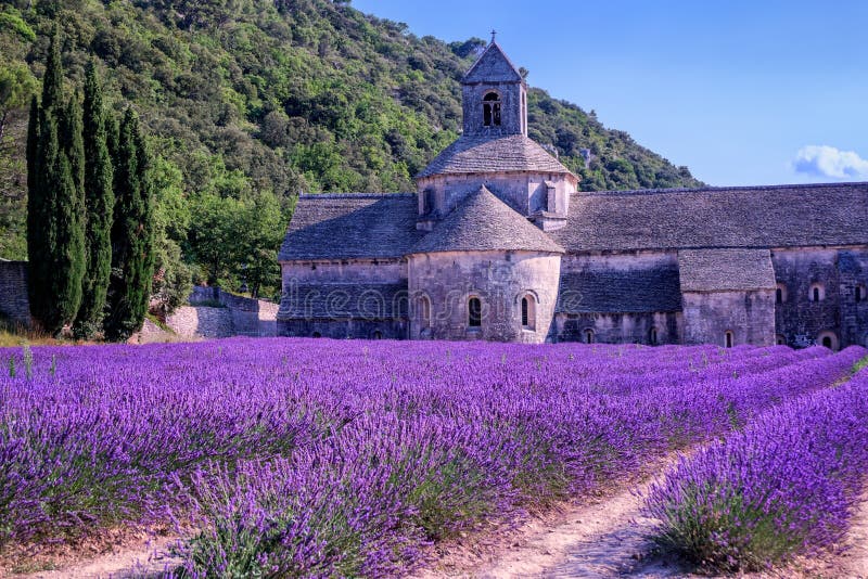 Campos de la lavanda, Francia fotos de archivo libres de regalías Campos de la lavanda, Francia fotos de archivo libres de regalías