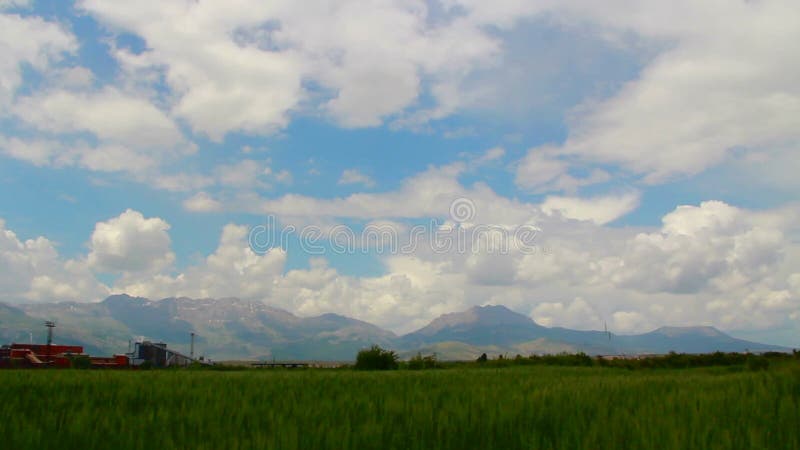 Campos de trigo, lapso de tempo das nuvens, em junho de 2016, Turquia