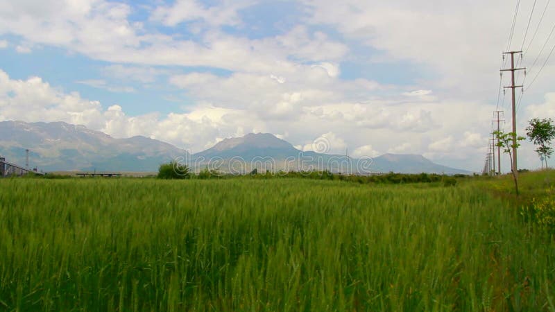 Campos de trigo, nuvens, em junho de 2016, Turquia