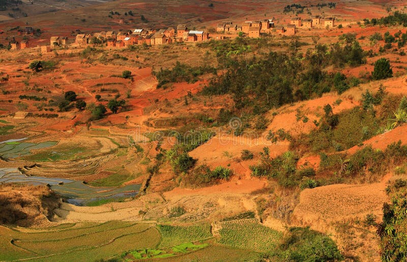 Campos del arroz en Madagascar imágenes de archivo libres de regalías Campos del arroz en Madagascar imágenes de archivo libres de regalías