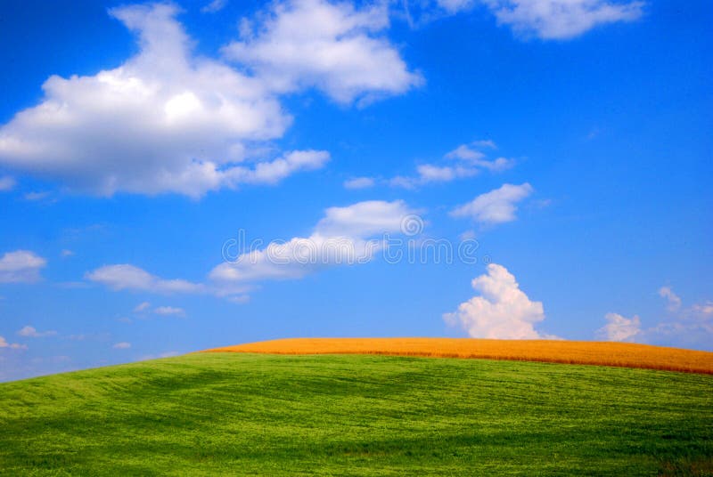 Campos do trigo e da aveia fotos de stock royalty free Campos do trigo e da aveia fotos de stock royalty free