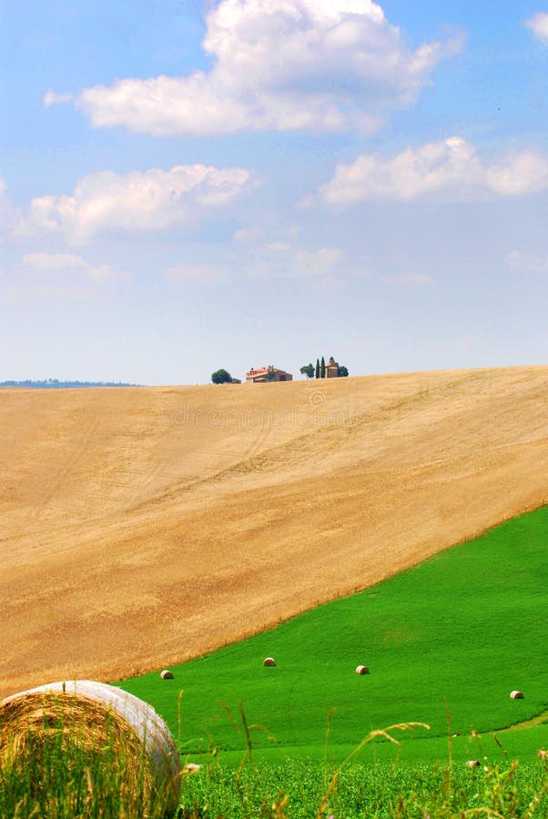 Campos hermosos de Toscana fotografía de archivo libre de regalías Campos hermosos de Toscana fotografía de archivo libre de regalías