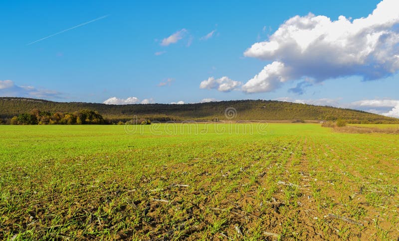 Campos infinitos verdes da mola perto da vila de Srebarna que é 15 quilômetros afastado a oeste da cidade do distrito de Silistra fotografia de stock royalty free Campos infinitos verdes da mola perto da vila de Srebarna que é 15 quilômetros afastado a oeste da cidade do distrito de Silistra fotografia de stock royalty free