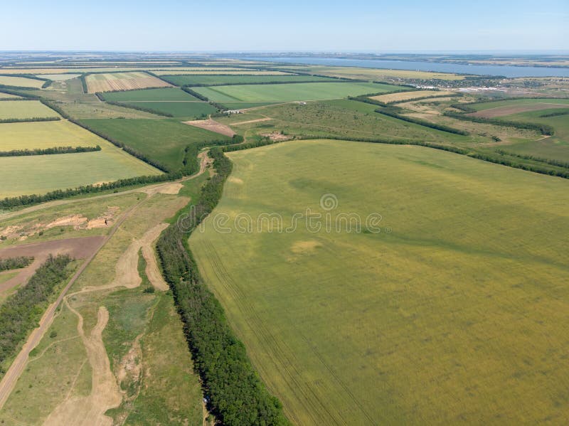 Campos verdes sembrados con trigo Visión aérea superior hecha por el abejón foto de archivo Campos verdes sembrados con trigo Visión aérea superior hecha por el abejón foto de archivo