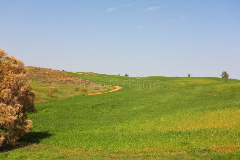 Campos verdes y cielos claros imágenes de archivo libres de regalías Campos verdes y cielos claros imágenes de archivo libres de regalías
