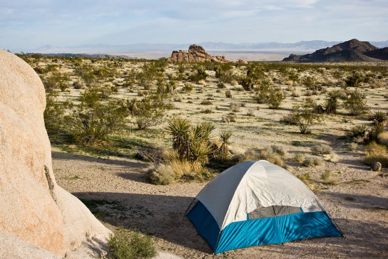 Campsite - Joshua Tree National Park