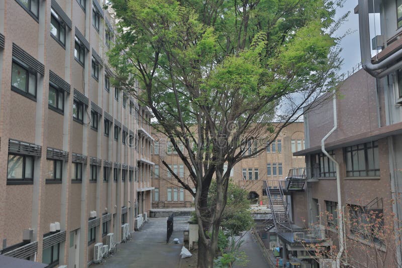 Keihin Tohoku Line Bve 5 Download