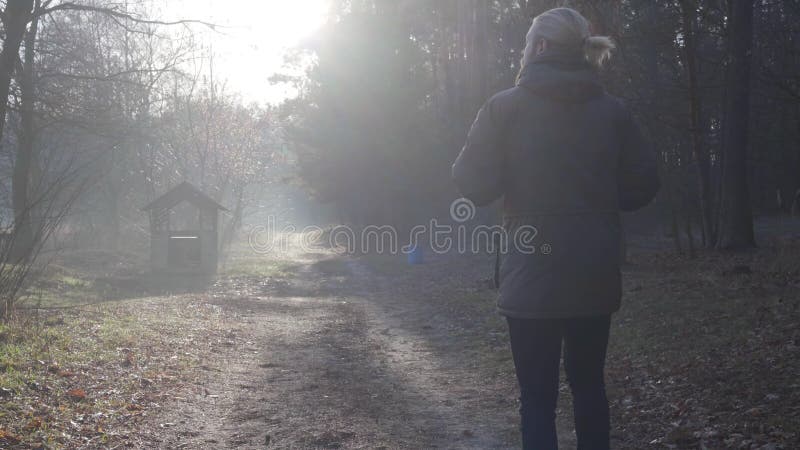Caméra après l'homme adulte caucasien en marchant le long de la route dans le touriste masculin de forêt d'automne appréciant son clips vidéos