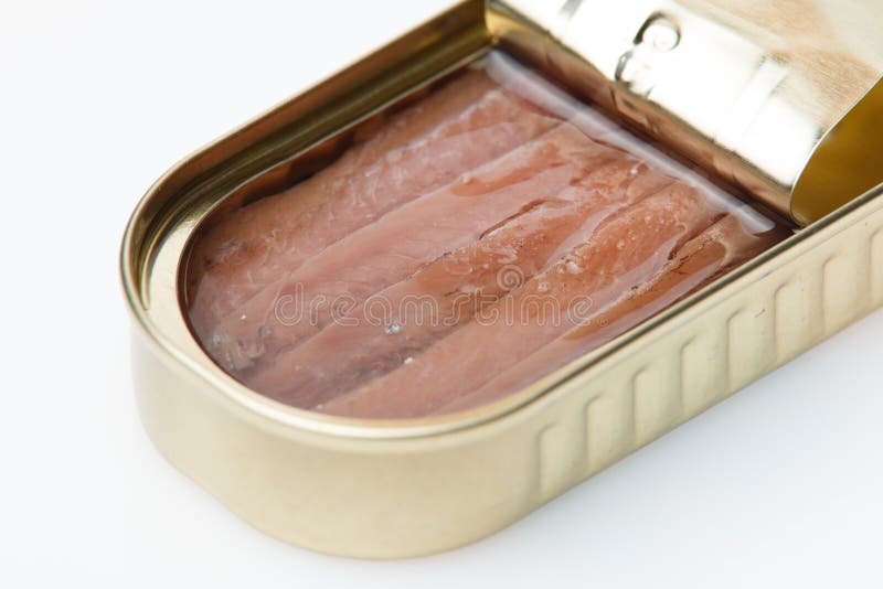 Can of anchovies stock photo. Image of anchovies, serving 50930044