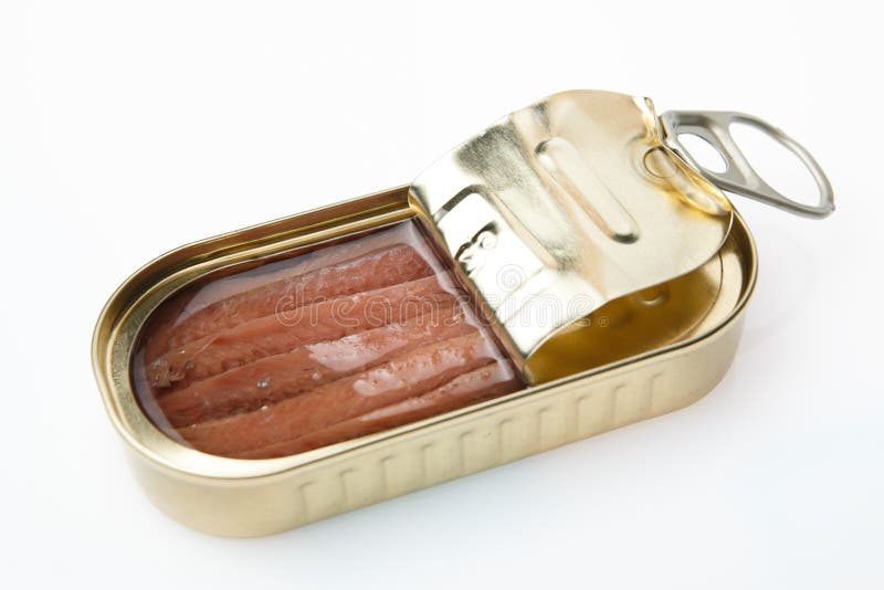 Can of anchovies stock image. Image of meat, food, serving 50930137