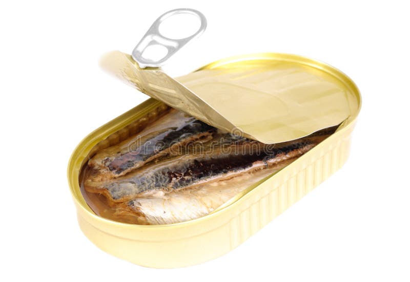 Can of Sardines in Oil Isolated on White Stock Photo Image of meal