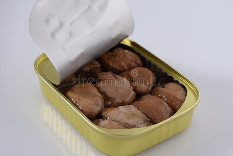 Can of Smoked Oysters stock photo. Image of snack, paleo 155471316
