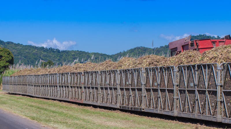 Cana-de-açúcar da carga do trator no escaninho do trem imagens de stock Cana-de-açúcar da carga do trator no escaninho do trem imagens de stock
