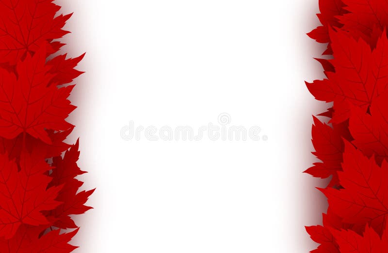 Canada Day Background Design of Red Maple Leaves Isolated on White