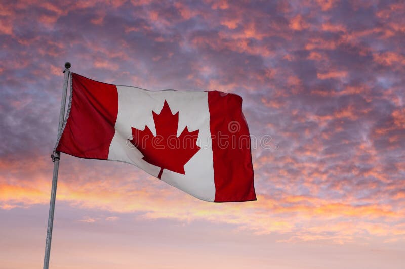 Canada Flag Flying on a Pole at Sunrise Stock Photo - Image of canadian,  military: 240664410