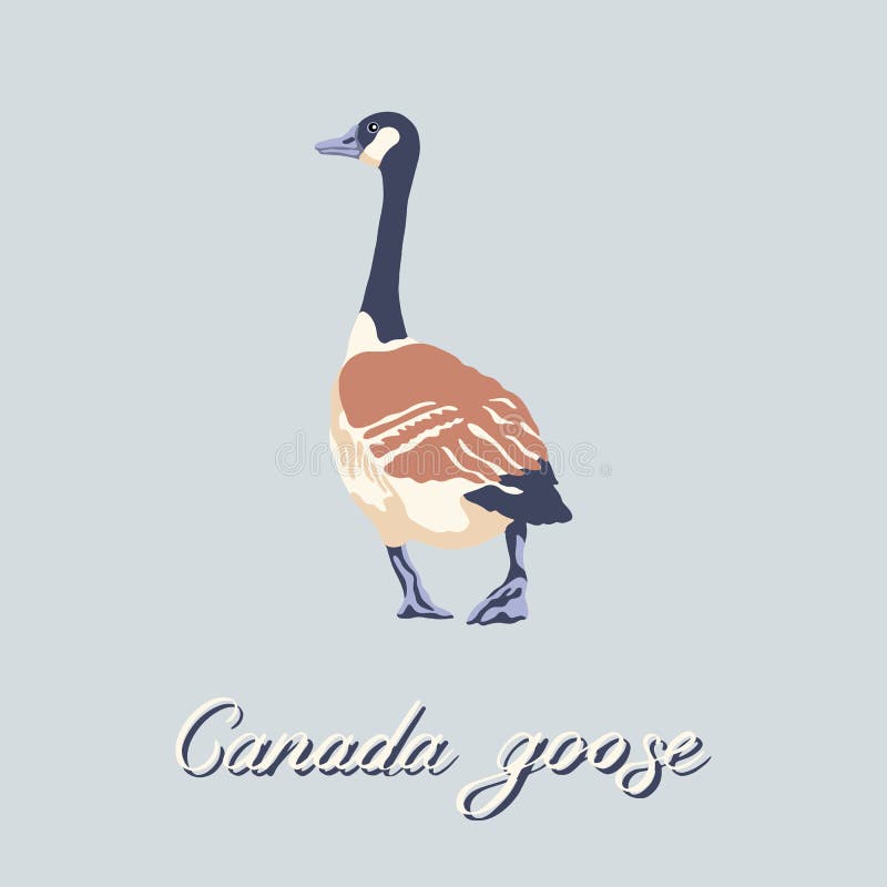 canada goose quote vector