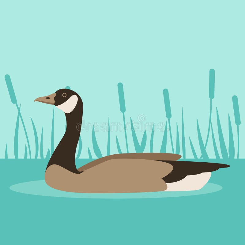 Canada goose instagram vector cheap