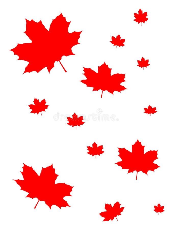 Canada Maple Leaf Background Stock Illustration Illustration of