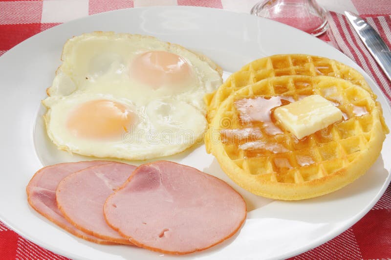 Can Dogs Eat Canadian Bacon