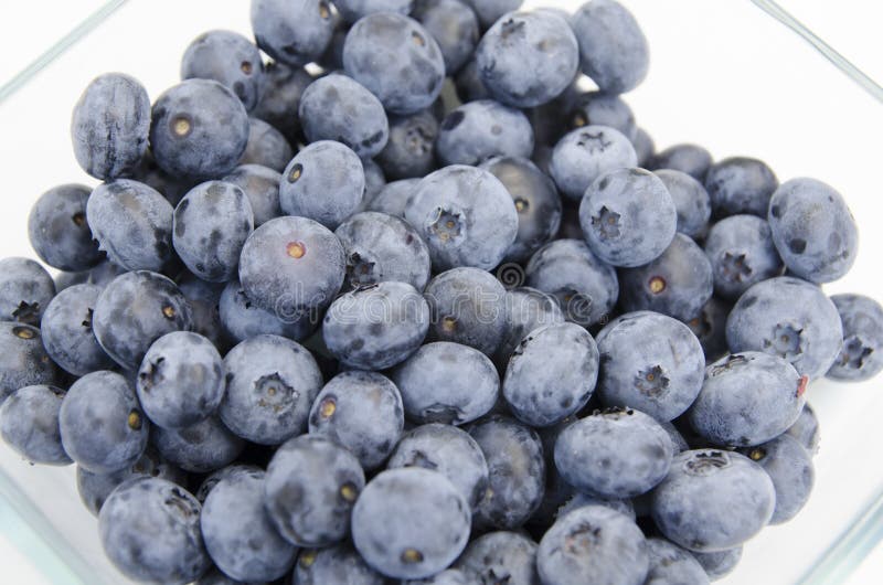 Canadian Blueberries on the Plate Stock Photo Image of healthy