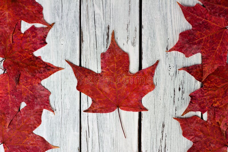 Canadian flag of red maple leaves over weathered white wood