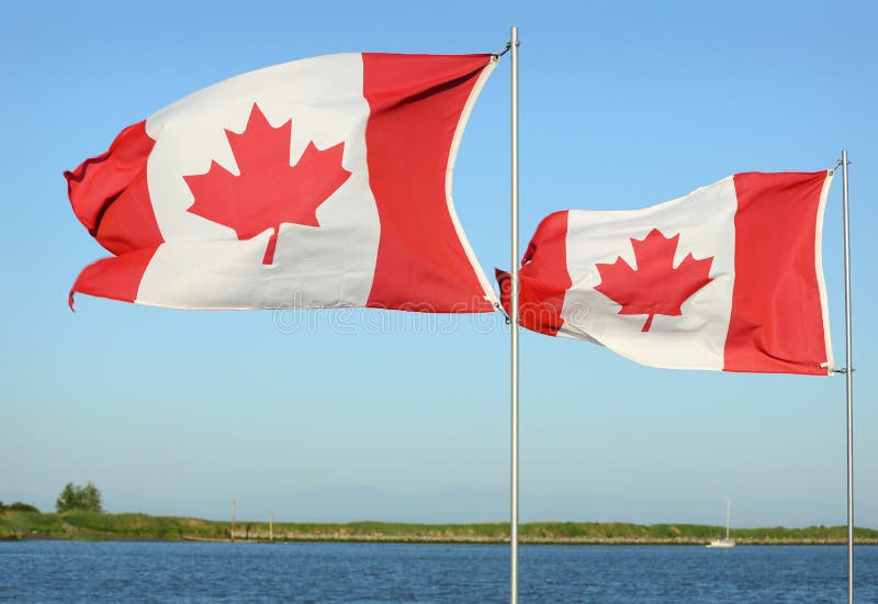 Canadian Flag stock photo. Image of pole, flying, clear 16899654