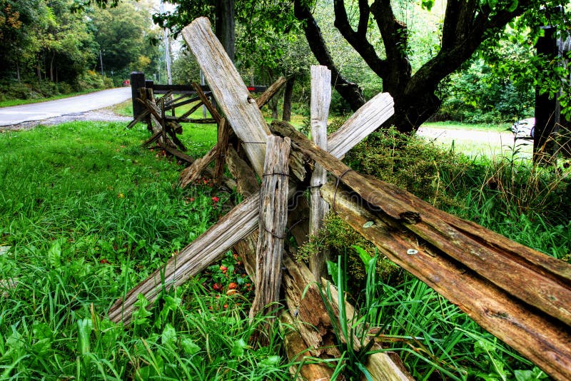 Canadian Forrest in Fall stock image. Image of creek, jungle 7091145