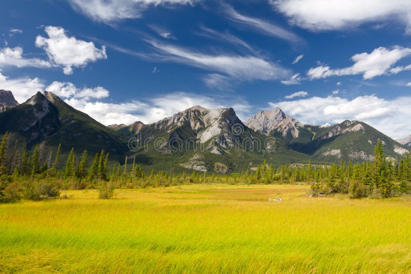 Canadian Landscape. Jasper National Park, Alberta