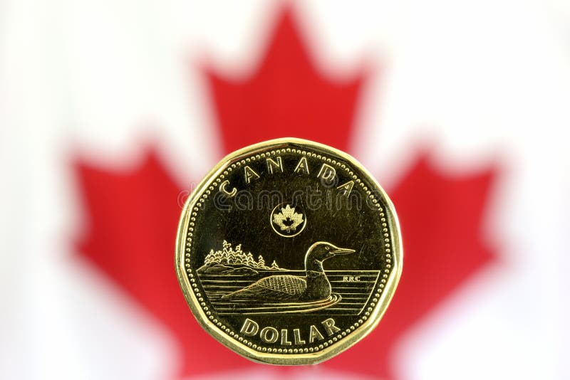 Loonie coin hi-res stock photography and images - Alamy