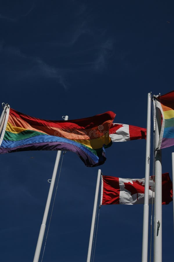 Canadian Pride Flags Picture. Image 2449350