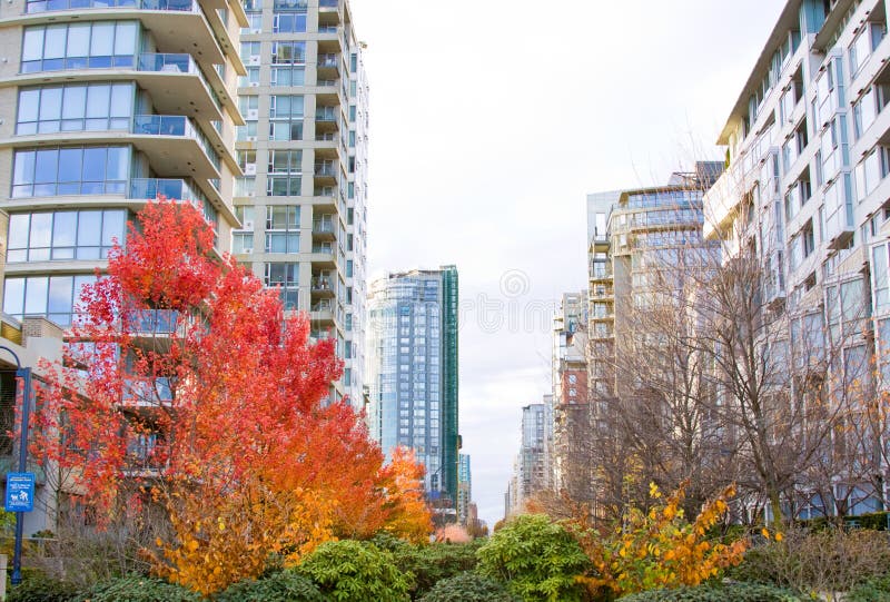 High rise architecture in Vancouver, Canada. Glass towers and modern skyscraper residential. A skyline of a row of towers. Colorful landscape. Vancouver skyscraper stock images, royalty-free photos and pictures