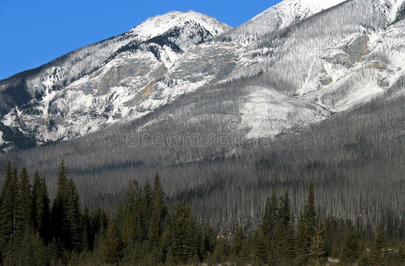 Canadian Rockies