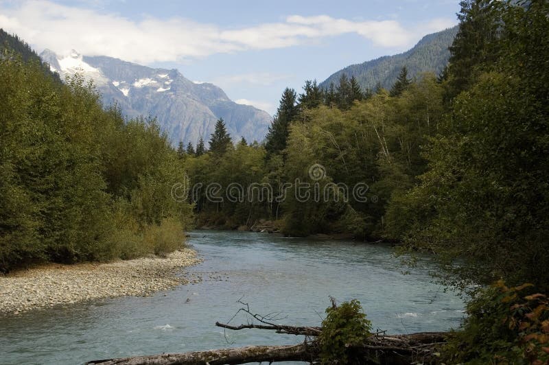 Canadian salmon river