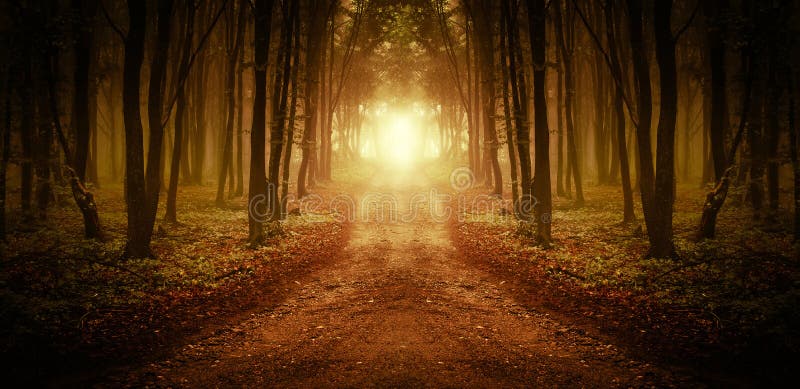 Canal de la trayectoria un bosque mágico en la salida del sol