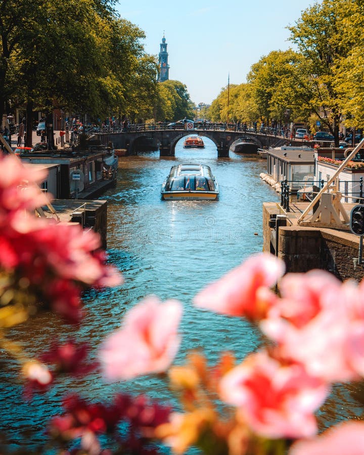 Canales de Amsterdam con las flores en primero plano