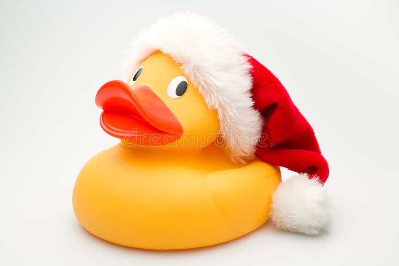 Canard à Tête De Noël Avec Un Cadeau Photo stock - Image du rouge,  domestique: 202058312