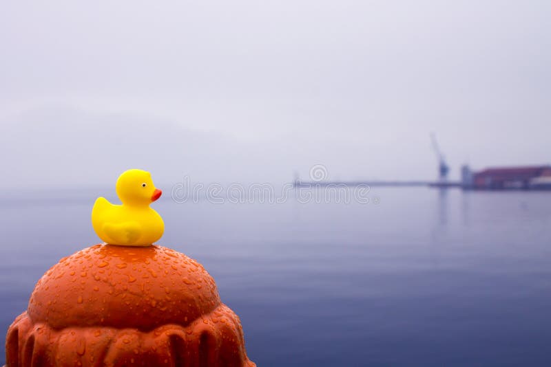 Canard en caoutchouc jaune avec la grue au sol arrière image libre de droits Canard en caoutchouc jaune avec la grue au sol arrière image libre de droits