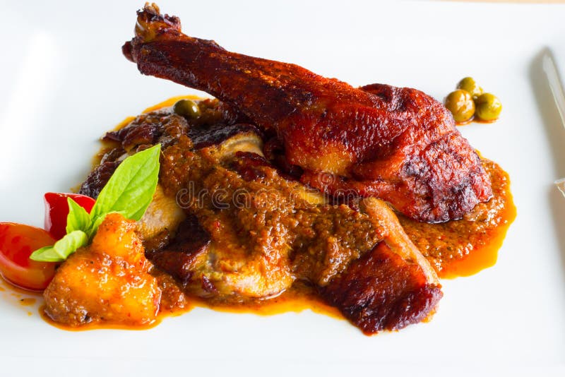 Canard rôti avec de la sauce à cari rouge photo libre de droits Canard rôti avec de la sauce à cari rouge photo libre de droits