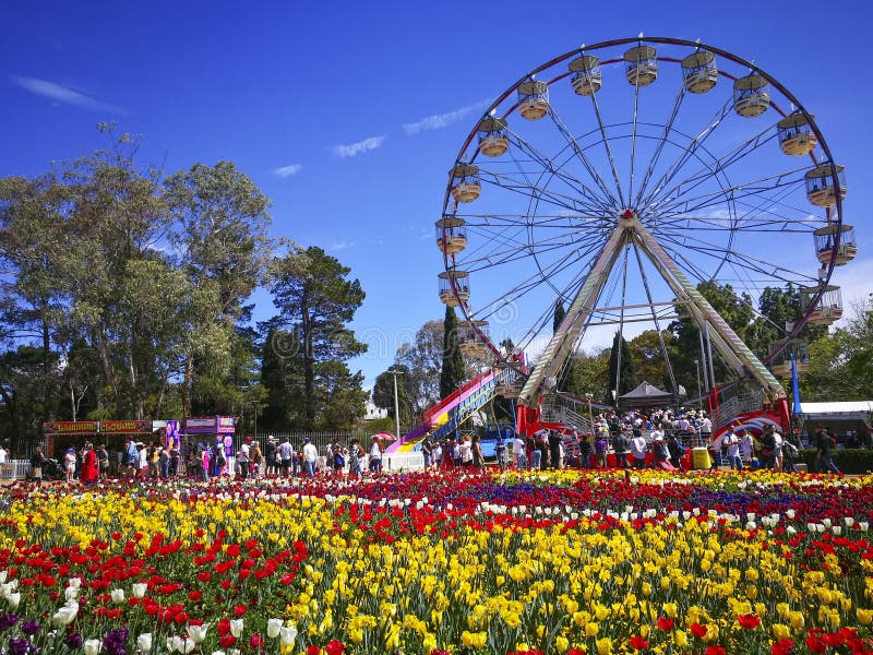 Ferris wheel at Floriade, Australiaâ€™s biggest celebration of spring with over one million blooms on display and free entry.