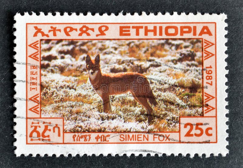 Cancelled postage stamp printed by Ethiopia, that shows Ethiopian Wolf