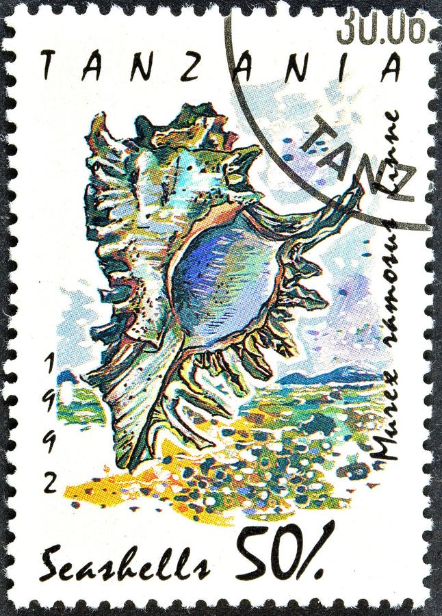 Cancelled postage stamp printed by Tanzania, that shows Branched Murex (Murex ramosus), circa 1992.